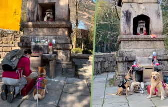 Chùa Thần Chó, nơi cầu an cho thú cưng ở Trung Quốc