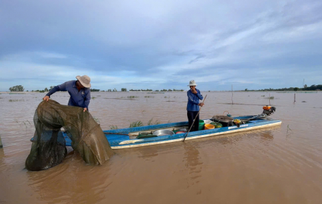 Xem người dân miền Tây bội thu tôm, cá mùa nước nổi