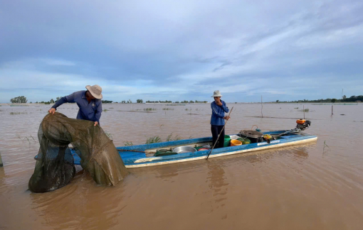 Xem người dân miền Tây bội thu tôm, cá mùa nước nổi