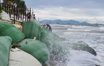 Bão số 13, sóng biển có thể cao 8-10m, quân dân hối hả gia cố bờ biển Hội An