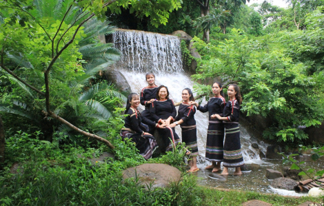 Gieo mầm xanh giữa đại ngàn