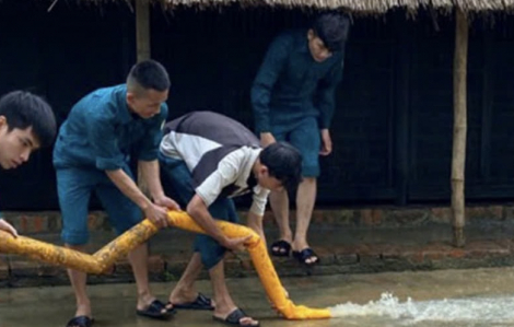 Huế chưa kịp gượng dậy sau lũ, lại oằn mình ứng phó bão Kalmaegi