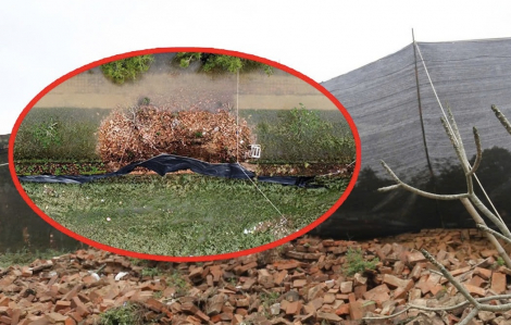 Tường Hoàng thành Huế bất ngờ đổ sập giữa mưa lũ