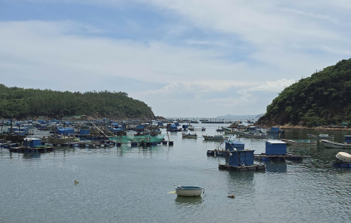 Đắk Lắk cho học sinh ven biển nghỉ học từ ngày 5 đến 7/11 để phòng, tránh bão số 13