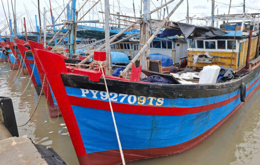 Người dân Đắk Lắk gia cố lồng bè, nhà cửa, đưa tàu thuyền vào cảng tránh bão