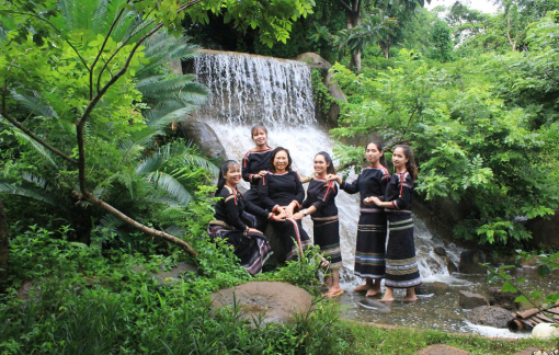 Gieo mầm xanh giữa đại ngàn