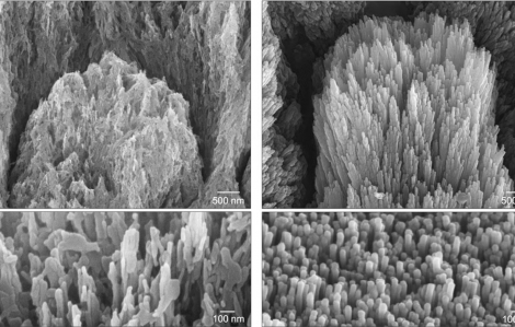 Anh nghiên cứu chế tạo loại gel có thể “tái sinh” răng