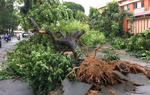 TPHCM khẩn trương triển khai các biện pháp ứng phó bão Kalmaegi