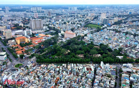 Công viên tưởng niệm nạn nhân COVID-19: Nơi ký ức được nâng niu và sự sống tiếp nối