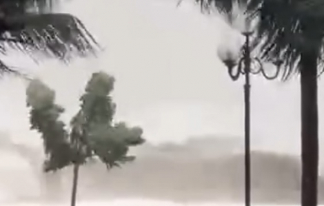 Sóng ở Quy Nhơn hiện tại đã rất cao