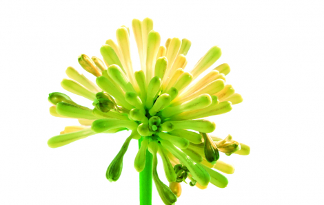 Truyện ngắn - Tình yêu ở lại