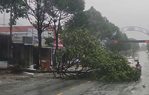 Cây xanh, cột điện ngã đổ; nhiều khu vực, tuyến đường ở Đắk Lắk bị ngập