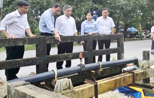 TPHCM quan tâm, động viên các lực lượng hỗ trợ, nông dân bị ảnh hưởng triều cường