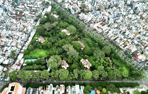 Từ nỗi đau đại dịch đến biểu tượng của sự kiên cường và niềm hy vọng