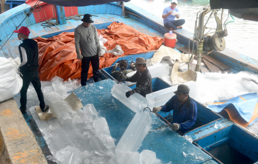 Việt Nam khẳng định nỗ lực chống khai thác hải sản bất hợp pháp