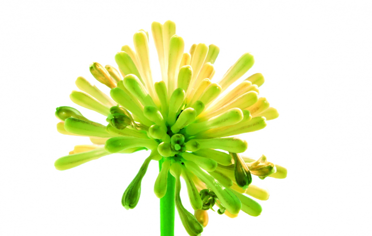 Truyện ngắn - Tình yêu ở lại