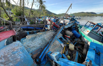 Nhiều trụ điện ở Đắk Lắk gãy đổ, ghe tàu hư hỏng, trâu bị chết ngạt sau bão