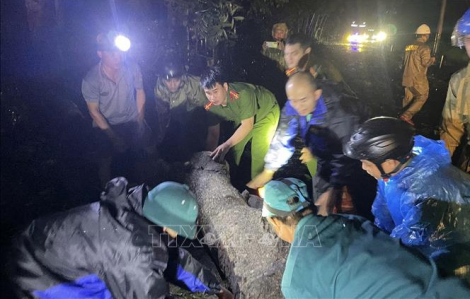 Bão số 13 quét sạch sản nghiệp nhiều người dân ở Đắk Lắk