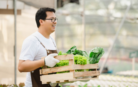 Chàng rể số 1 trong lòng cha mẹ vợ