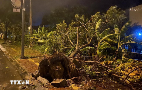 Tin cuối cùng về cơn bão số 13, mưa lớn từ Thanh Hóa đến Đà Nẵng