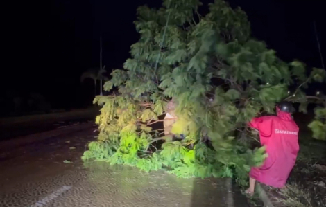 Trắng đêm dọn dẹp cây cối, biển hiệu đổ ngã trong bão Kalmaegi