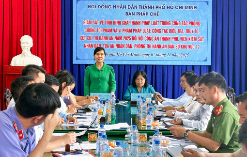 Giám sát công tác phòng, chống tội phạm tại Khu vực 12 (TPHCM)