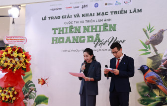 Lộ diện các tác phẩm thắng giải "Vũ điệu từ thiên nhiên"