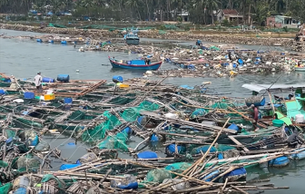Thủ phủ tôm hùm, cá mú bay hơn 300 tỉ chỉ trong 1 đêm giông bão