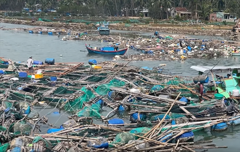 Thủ phủ tôm hùm, cá mú bay hơn 300 tỉ chỉ trong 1 đêm giông bão