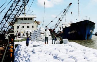 Philippines cấm nhập khẩu gạo đến hết năm, doanh nghiệp Việt không quá lo ngại