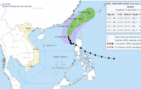 Bão số 14 Phượng Hoàng tiếp tục đổi hướng?