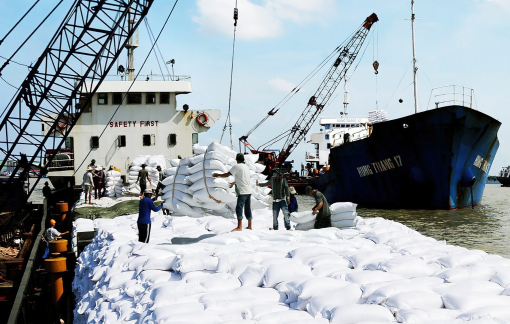 Philippines cấm nhập khẩu gạo đến hết năm, doanh nghiệp Việt không quá lo ngại