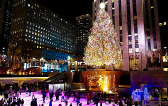 Ngắm những cây thông Noel là biểu tượng văn hóa toàn cầu