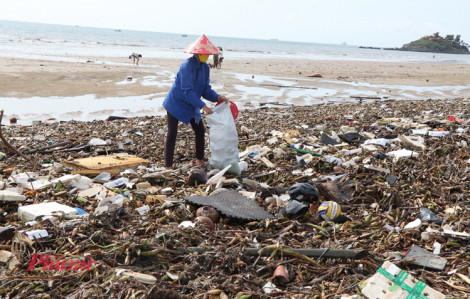 Hơn 500 tấn rác đại dương tràn ngập Bãi Sau Vũng Tàu