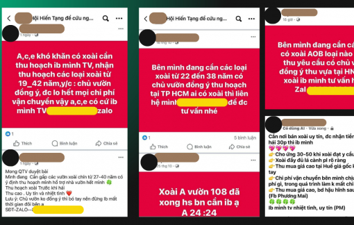 Cảnh báo tình trạng mua bán nội tạng trá hình lan tràn trong các nhóm hiến tạng cứu người