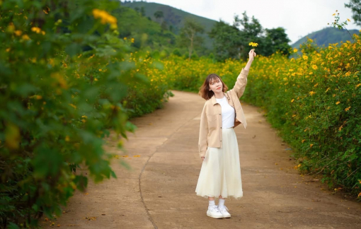 Mùa hoa dã quỳ rực rỡ trên núi lửa Chư Đăng Ya