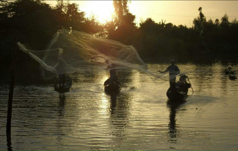 Mưu sinh mùa cá ra sông