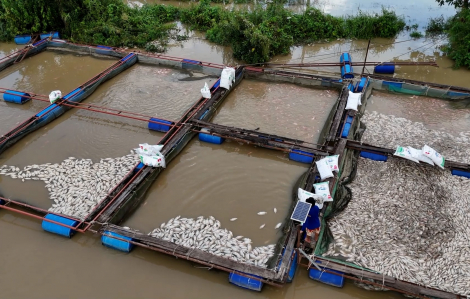 Xuất cấp hơn 1.700 tấn gạo dự trữ quốc gia để hỗ trợ người dân Đắk Lắk sau bão số 13