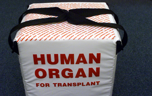 Mỹ phát triển AI mới có thể dự đoán khả năng “sống sót” của cơ quan nội tạng được hiến tặng