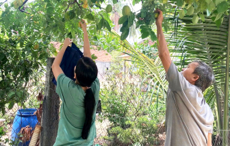 Mất cha, còn chú