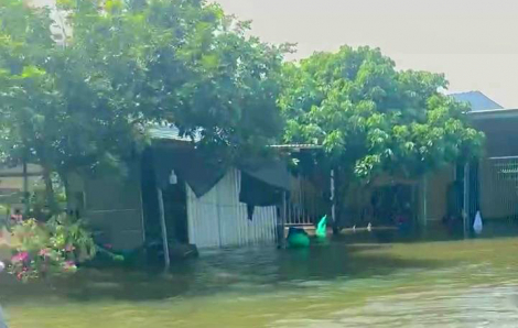 Nông dân xã Hồ Tràm thiệt hại nặng nề do mưa lớn và xả lũ