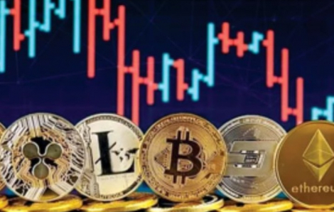 Triệt phá đường dây kinh doanh tiền ảo đa cấp, chiếm đoạt 12 tỉ đồng