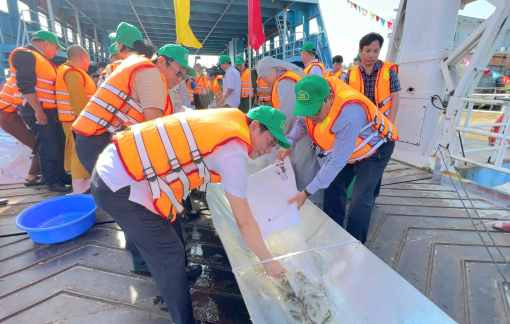 An Giang thả hơn 215.000 con cá giống tái tạo nguồn lợi thủy sản