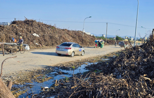Cành cây gãy đổ chất cao như núi bên đường sau bão