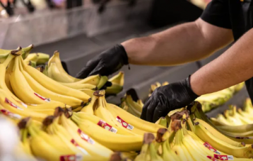 Tổng thống Mỹ Donald Trump ký sắc lệnh giảm thuế đối với cà phê, chuối và nhiều mặt hàng nông sản