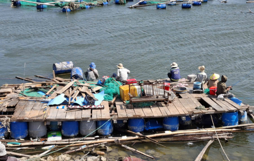 Sau bão, người dân Đắk Lắk ra đầm Cù Mông câu cá nuôi bị bão cuốn trôi