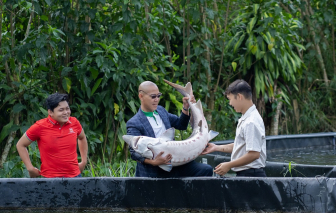 Cá tầm Beluga 50kg xuất hiện tại Đà Nẵng dịp khai trương MM Mega Market Super Center