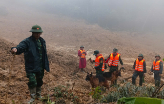 Quân khu 5 tăng cường quân khuyển lên thôn Pứt tìm kiếm nạn nhân mất tích
