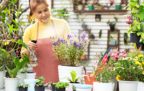 Để quãng mệt thành ngày vui