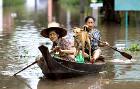 Hậu quả thảm khốc nếu không hành động